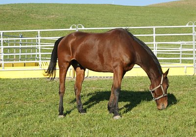 Prince 16Maerz 2014 DSC03284