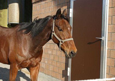 Prince 16Maerz 2014 DSC03300