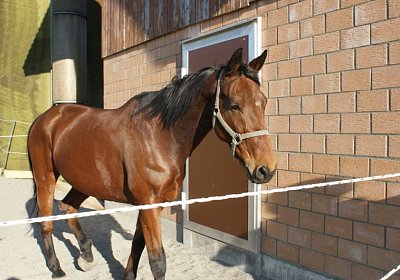 Prince 16Maerz 2014 DSC03301