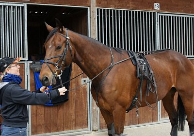 Prince Training 2Mai2014 DSC05557