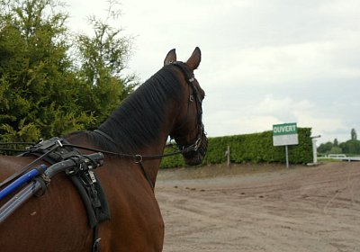 Prince Training 2Mai2014 DSC05570