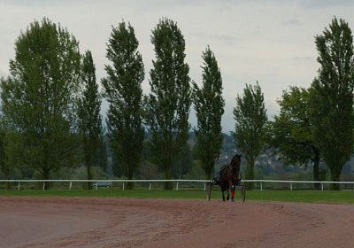 Prince Training 2Mai2014 DSC05576