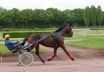 Prince Training 2Mai2014 DSC05588