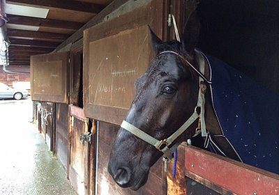 Quito-Training in Basel am 4.1.14