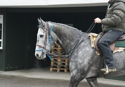 DSC02843 Remedial Dielsdorf 2maerz14