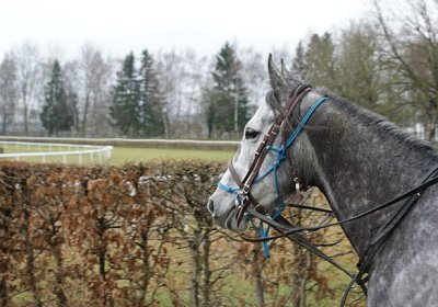 DSC02849 Remedial Dielsdorf 2maerz14