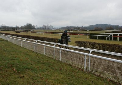 DSC02861 Remedial Dielsdorf 2maerz14