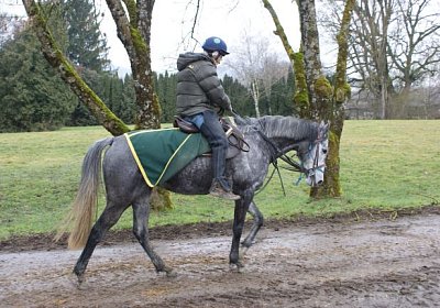 DSC02865 Remedial Dielsdorf 2maerz14