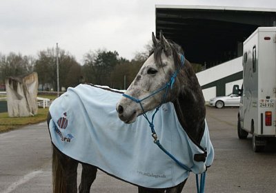 DSC02874 Remedial Dielsdorf 2maerz14