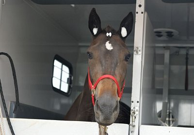 Timoa Zoll Basel DSC08650