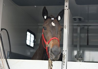 Timoa Zoll Basel DSC08652