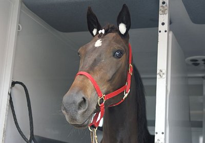 Timoa Zoll Basel DSC08656