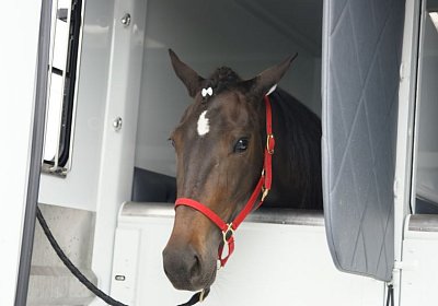 Timoa Zoll Basel DSC08663