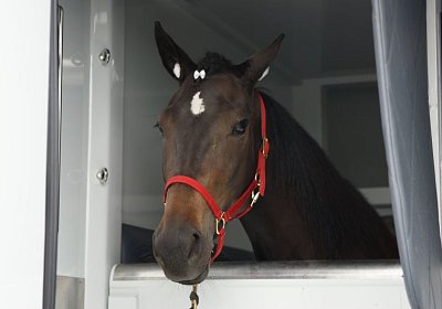 Timoa Zoll Basel DSC08666