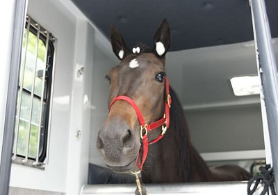 Timoa Zoll Basel DSC08667