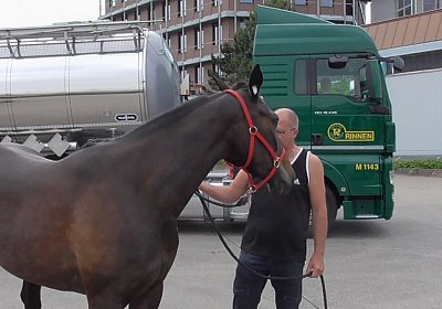 Timoa Zoll Basel S1070006