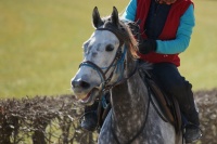 Training Gitan/Remedial, 11./12.3.2015