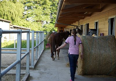 DSC08376 Kugelblitz Dielsdorf 4Juni2015