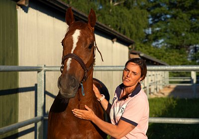 DSC08400 Kugelblitz Dielsdorf 4Juni2015