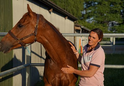DSC08401 Kugelblitz Dielsdorf 4Juni2015