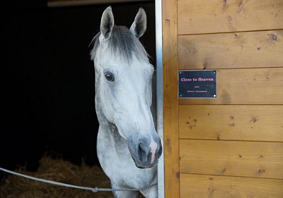 DSC08408 Kugelblitz Dielsdorf 4Juni2015