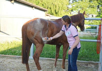 DSC08430 Kugelblitz Dielsdorf 4Juni2015
