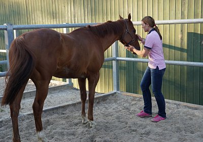DSC08438 Kugelblitz Dielsdorf 4Juni2015
