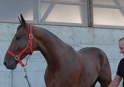 Bienvenu VANCOUVER, 9.9.2015