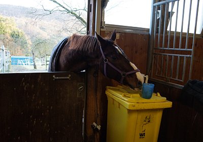 DSC00117 Denny
