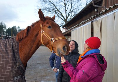 DSC00187 Gitan