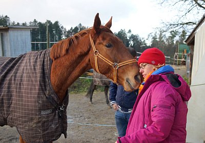 DSC00199 Gitan