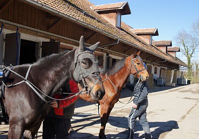 DSC02247 Rebus Timoa