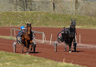 DSC02414 Rebus Timoa