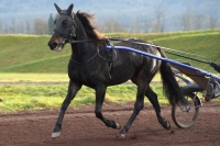 Besuch bei Timoa, 12.Januar 2015