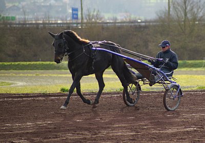 2015 01 12 Timoa Besuch Avenches 00021
