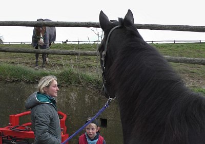 Timoa 17April 2016 S1420016