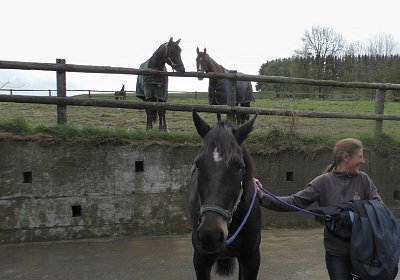 Timoa 17April 2016 S1420018