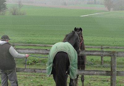 Timoa 17April 2016 S1420022