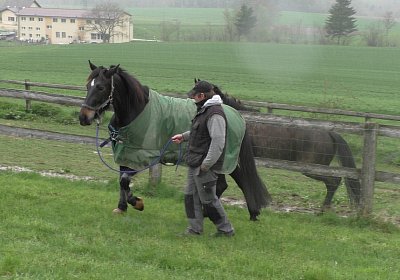 Timoa 17April 2016 S1420024