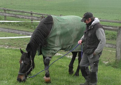 Timoa 17April 2016 S1420025