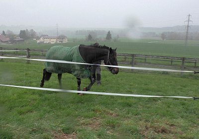 Timoa 17April 2016 S1420026