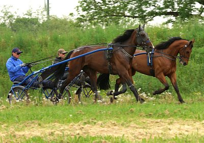 Speedy Gonzales Rebus 11Mai 2016 DSC04400