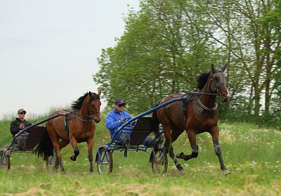 Speedy Gonzales Rebus 11Mai 2016 DSC04494