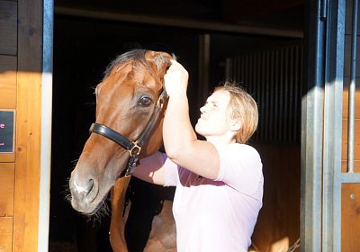 Hectomare 23juni 2016 DSC05660