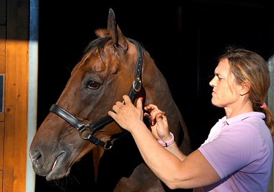 Hectomare 23juni 2016 DSC05662