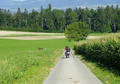 160824 0003 chemin pour aller a la piste