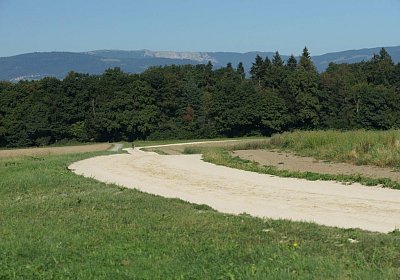 160824 0014 Piste