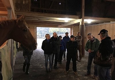 Apero bei Muntis, Vivo und Cherry, 23.10.2016