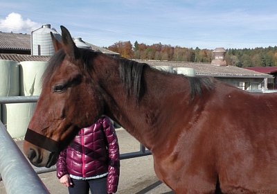 Bel Claudia 3nov2016 S1730029