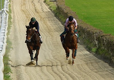 Dielsdorf Training 2april 2017 DSC01593 Cherry Hecto
